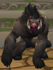 Wild-Boar-front.png