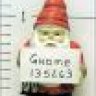 gnome